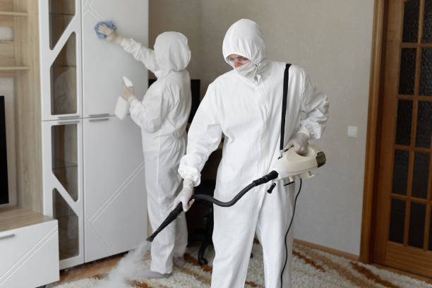 Affordable Infectious Disease Decontamination solutions in Round Mountain, TX